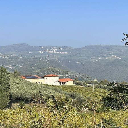 Suite La Torretta - Ca' Del Volo 格雷扎纳 外观 照片