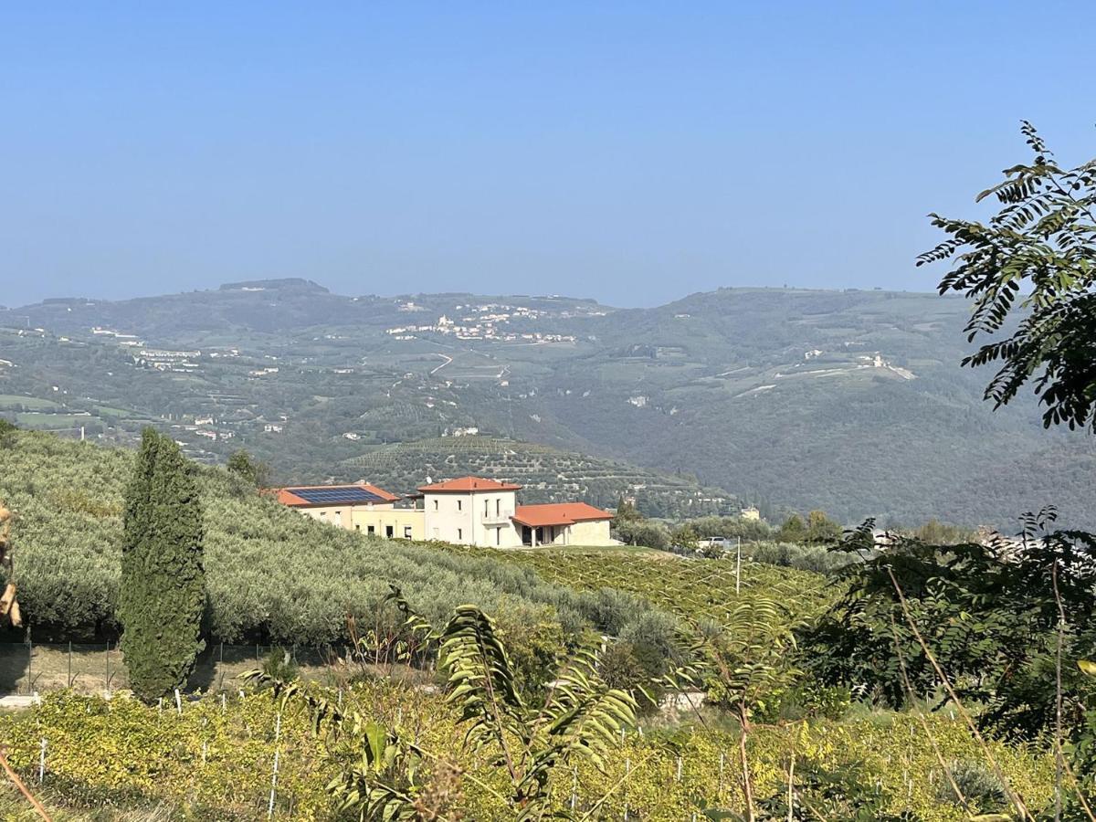 Suite La Torretta - Ca' Del Volo 格雷扎纳 外观 照片