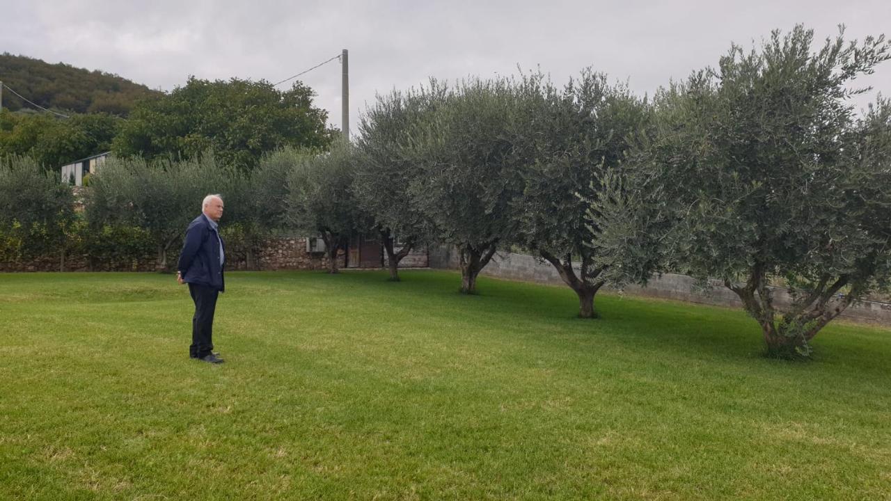 Suite La Torretta - Ca' Del Volo 格雷扎纳 外观 照片